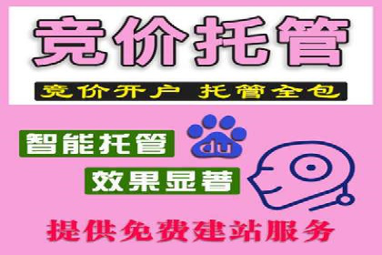 竞价SEM托管案例：实现营销效果最大化